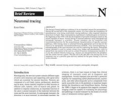Neuronal tracing